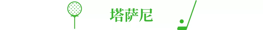 塔萨尼